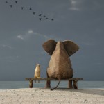 size and complexity - leadership
